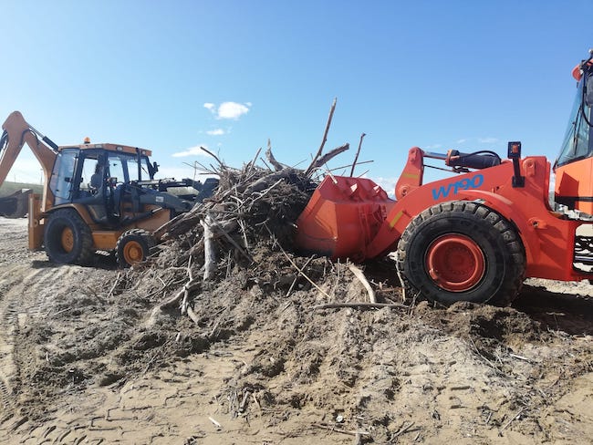 pulizia spiagge pescara