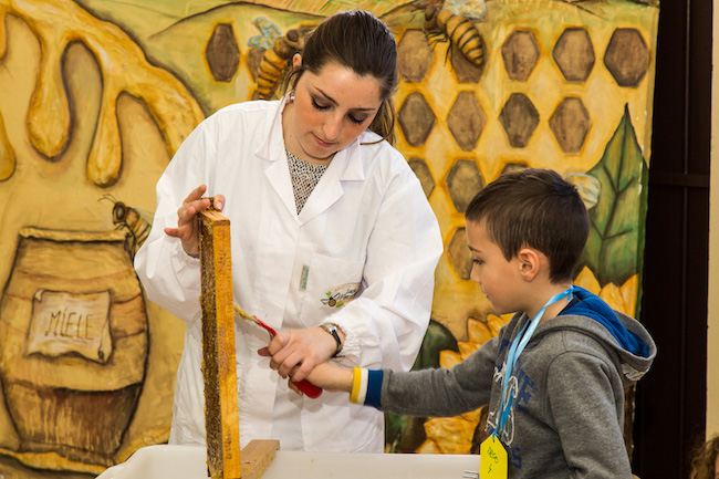 fattoria didattica apicoltura luca finocchio