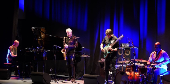 yellowjackets francavilla al mare