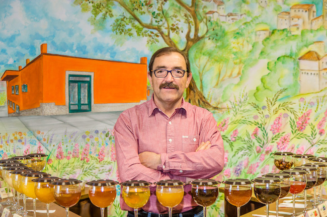 apicoltura luca finocchio