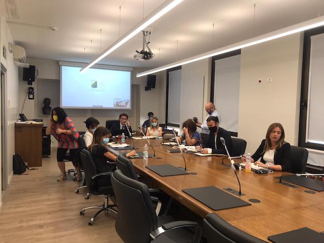 commissione regionale sin 8 luglio 2020