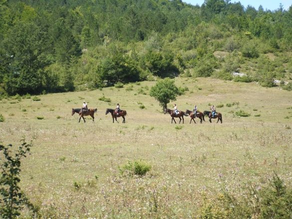 escursione a cavallo escursione a cavallo