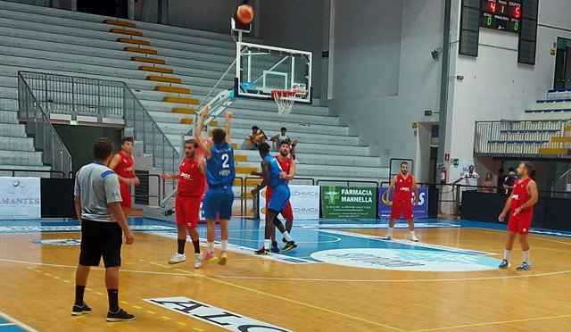 blue basket roseto sharks