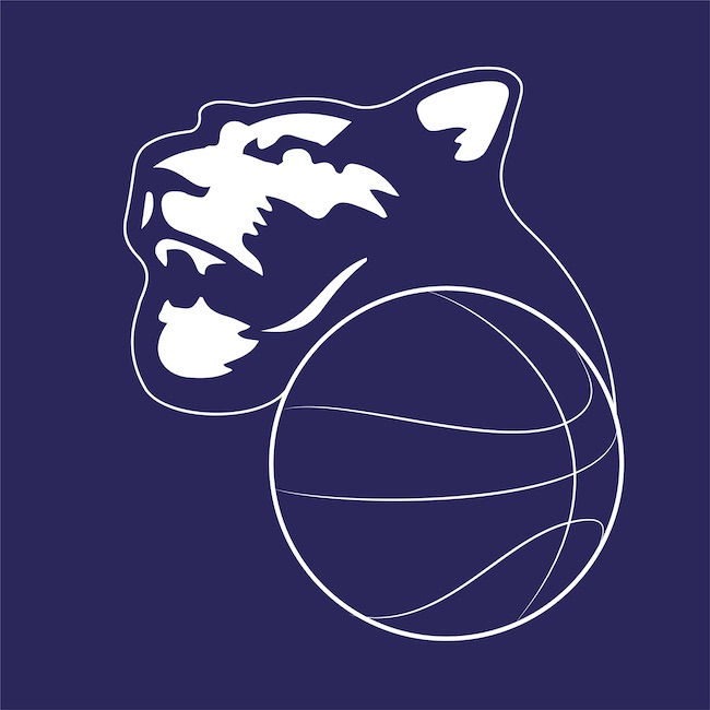 logo panthers roseto