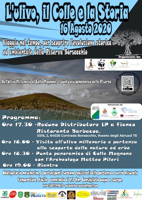 l'ulivo il colle e la storia 16 agosto 2020