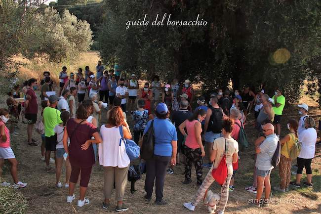 L'ulivo il colle e la storia