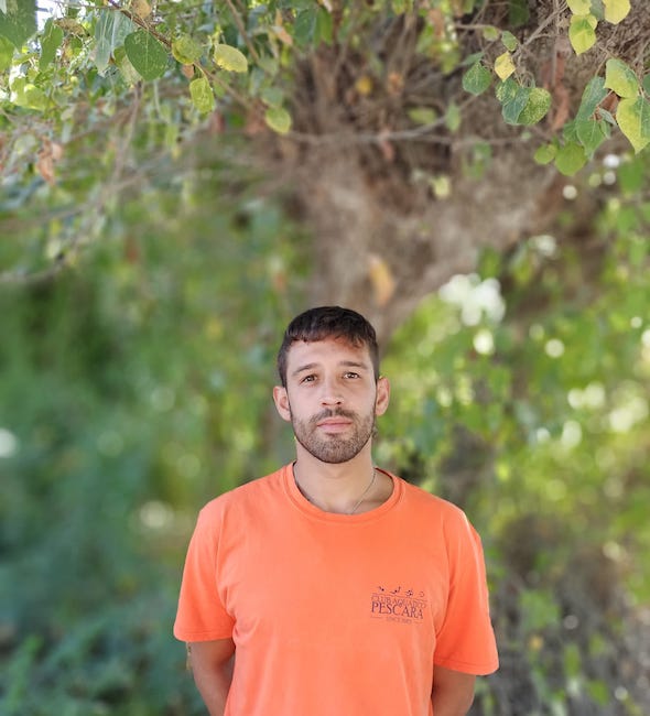 mattia de ioris