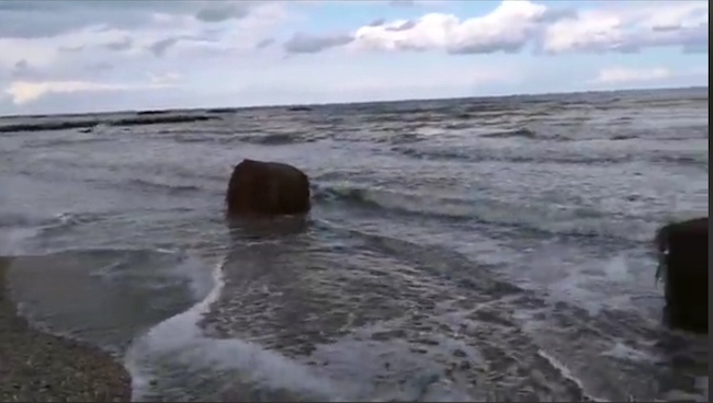 rotoballe dei campi mare