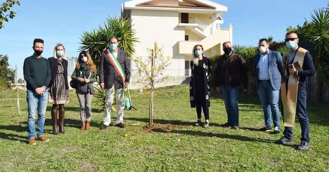 alberi parco della libertà