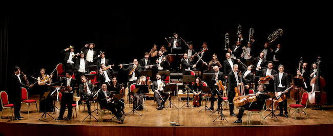 colibri novembre 2020