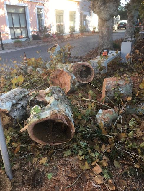 platani malati montesilvano