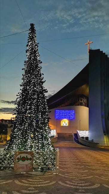 albero natale giulianova globo