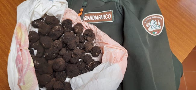 foto sequestro tartufi