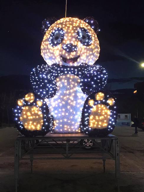 panda luminoso