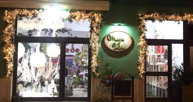 miglior attivita magia verde