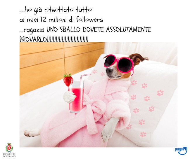 cane pagopa