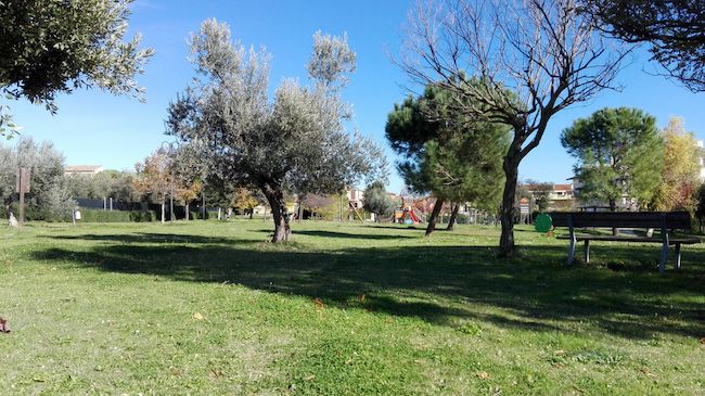 parco cerasari Giulianova