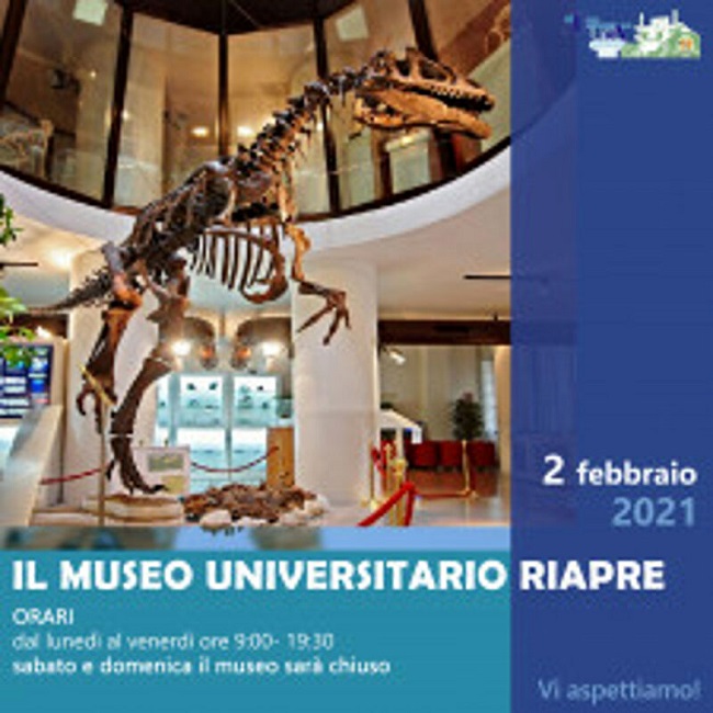 riapertura museo universitario