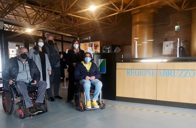 ferrante, veri e brucchi