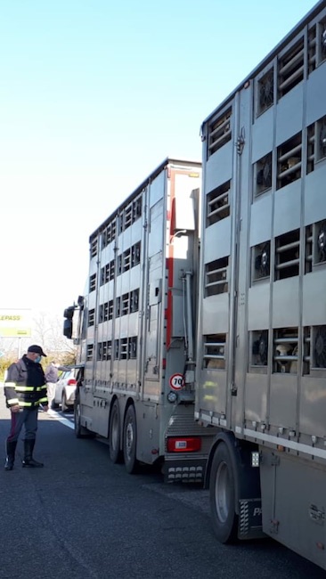 foto trasporto agnelli