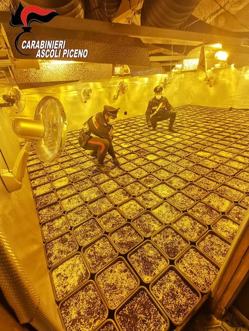 operazione carabinieri