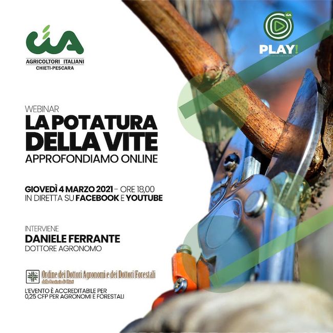 potatura vite locandina