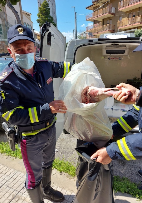 carne agnello sequestrata