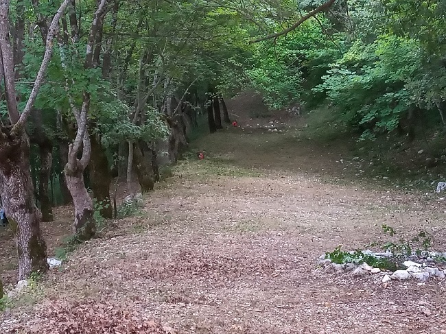 Luco dei Marsi, selva