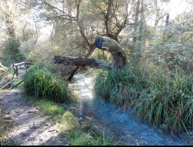 sorgenti lavino scafa