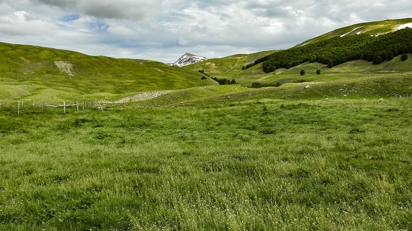 Chiarano Sparvera veduta