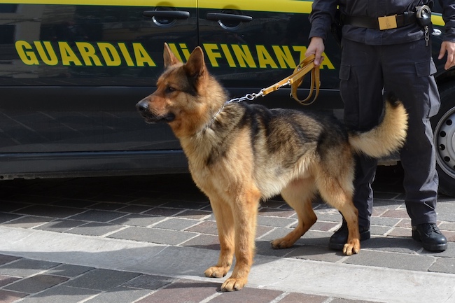 finanza cinofili