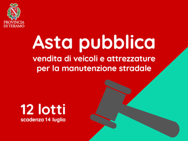 asta pubblica 12 lotti
