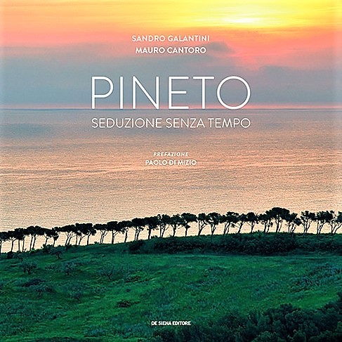 copertina pineto seduzione senza tempo