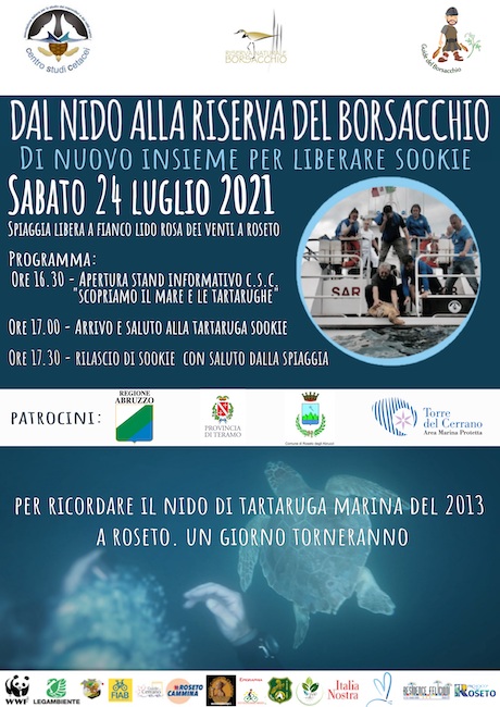 dal nido alla riserva del borsacchio