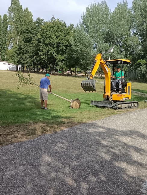 nuove piante giulianova