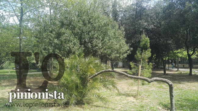 villa parco sabucchi