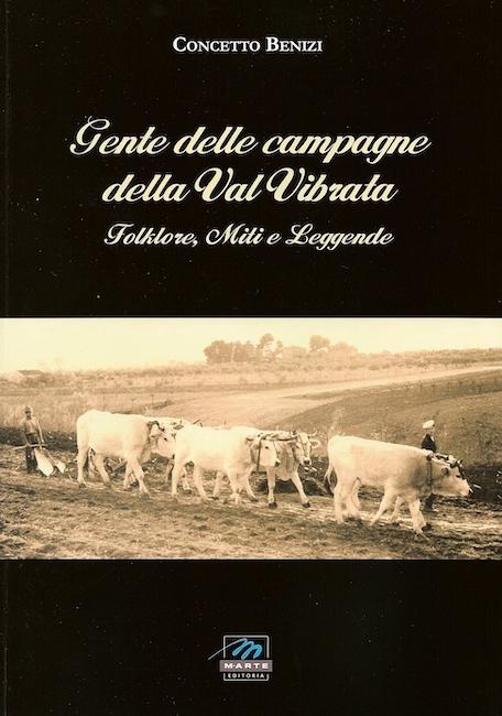 copertina libro benizi