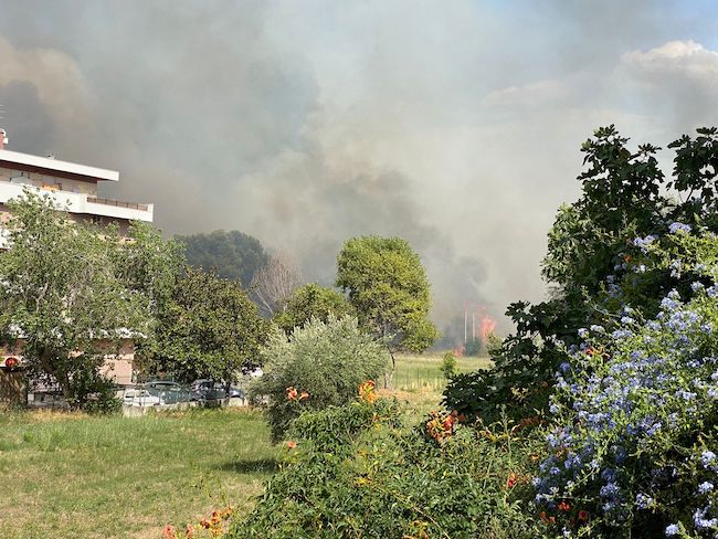 inteventi roghi misericordia