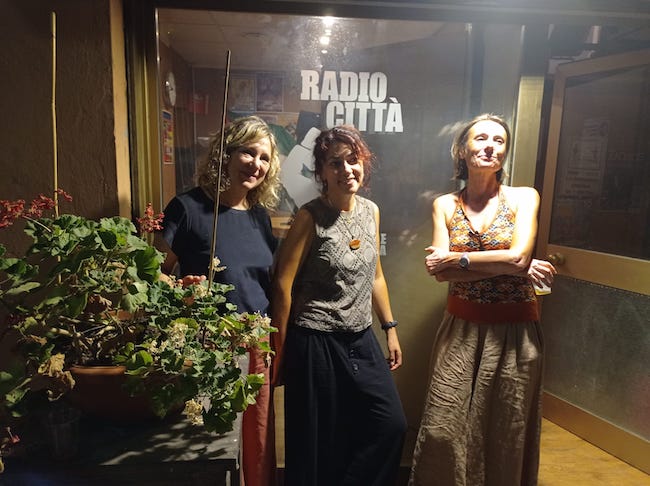 le pine radiocittà