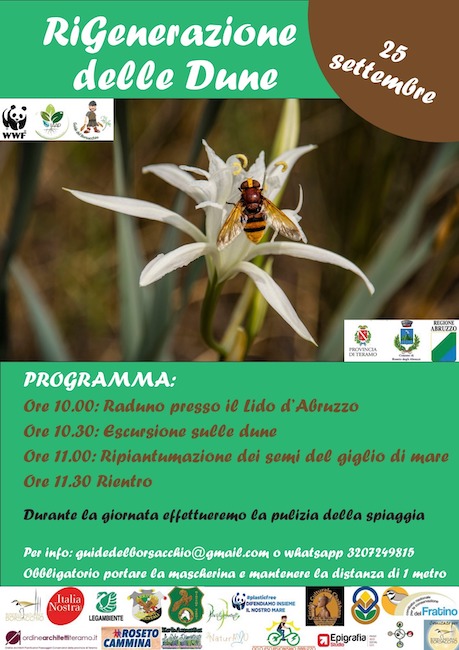 rigenerazione dune 25 settembre 2021