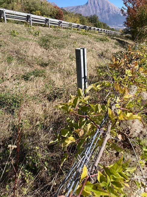 Recinzione inadeguata dell'autostrada