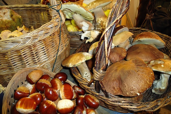 castagne funghi tartufi