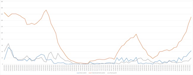grafico 11 novembre 2021