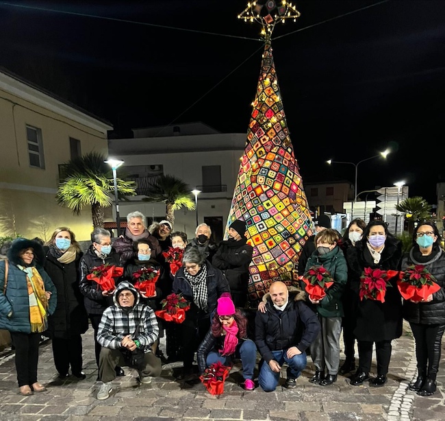 albero uncinetto bolognano