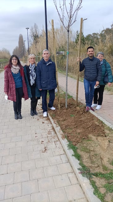 alberi piantati