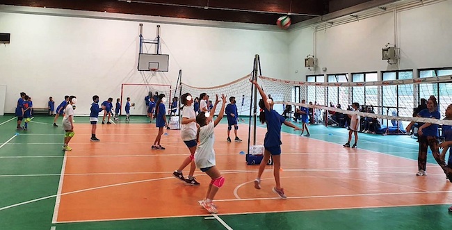 minivolley avis montesilvano