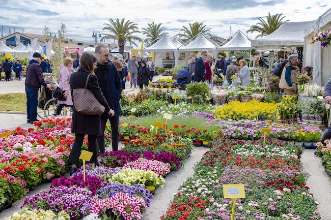 mosta del fiore pescara 2021