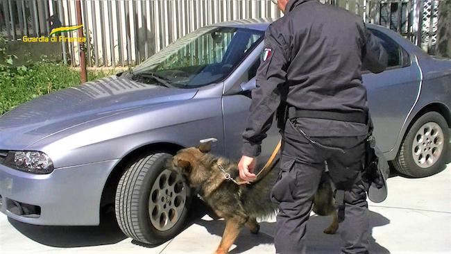 finanza cane antidroga