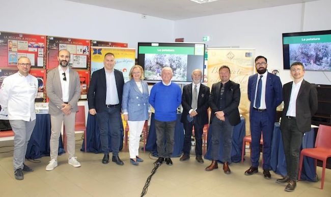 giornata olio d'oliva de cecco