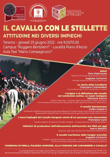 il cavallo con le stellette